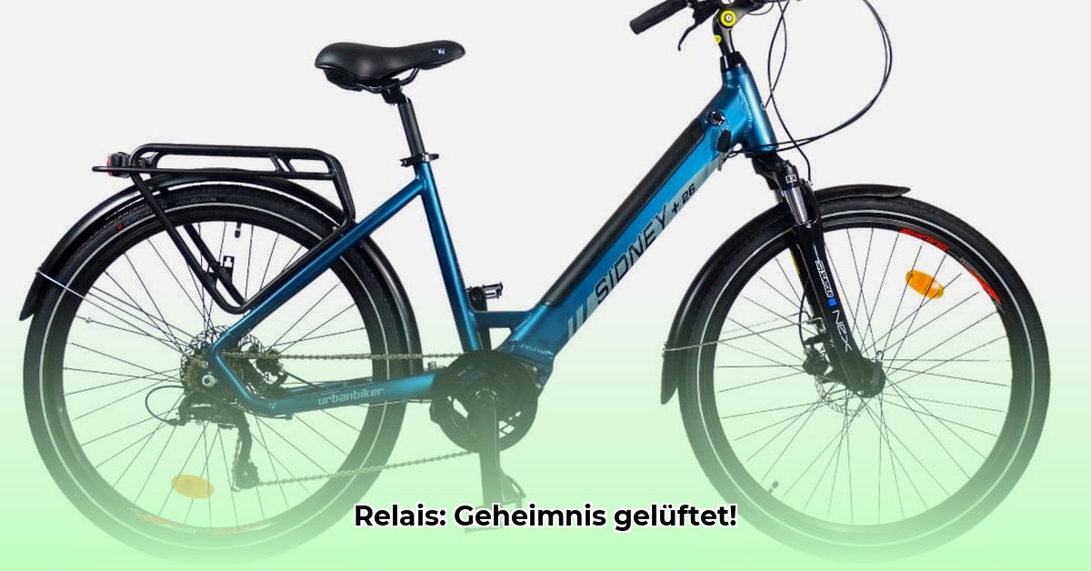 elektrische-schalteinrichtung